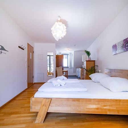 Altstadtloft Am Martinstor Freiburg im Breisgau Ngoại thất bức ảnh